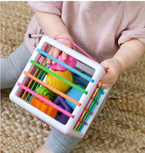 Nooche Montessori Net Cube