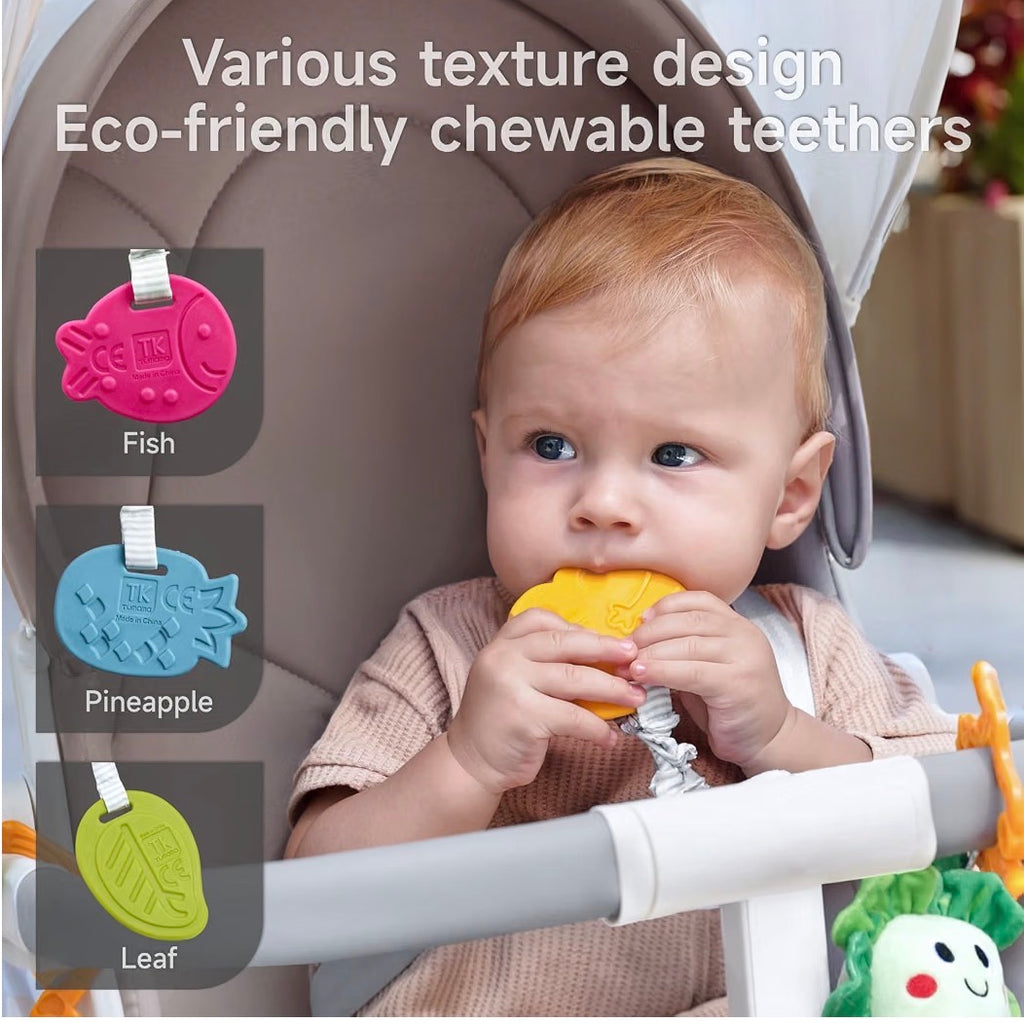 Nooche™ Montessori Potted Plants