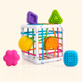 Nooche Montessori Net Cube